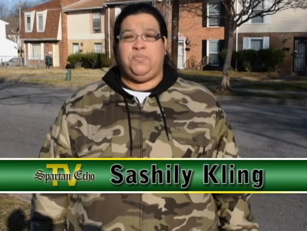 Are traffic cameras a security&nbsp;risk?