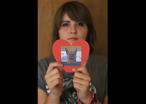 Mass killing of dogs shocks city in northern&nbsp;Mexico