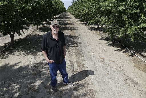 Almonds get roasted in debate over California water&nbsp;use