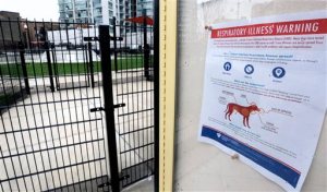 FILE - In this April 16, 2015, file photo, a sign warning of canine respiratory illness is posted at a dog park in Chicago. An outbreak of canine flu has sickened more than 1,000 dogs in the Midwest, killing several and stirring concern among animal lovers nationwide that the highly contagious virus will sideline their pets. (AP Photo/M. Spencer Green, File)