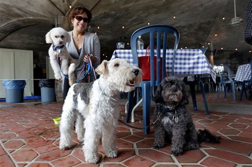 Fido al fresco? NY weighs allowing outdoor dining with&nbsp;dogs