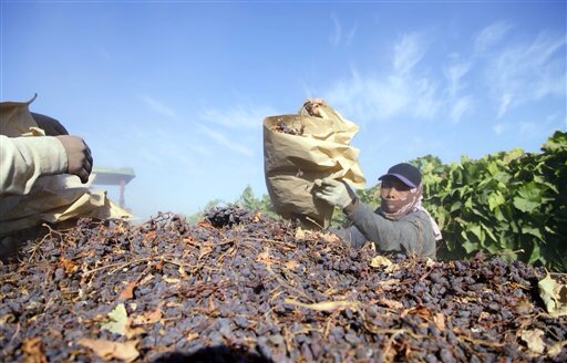 High court says gov’t seizure of raisins is unconstitutional