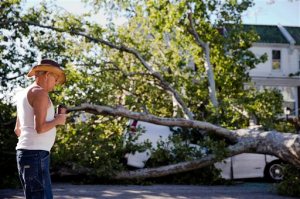 Randall Coffin inspects damage on Sylvester Street in the aftermath of a storm Wednesday, June 24, 2015, in Philadelphia. Powerful storms that plowed through eastern Pennsylvania and New Jersey downed trees and power lines, leaving nearly 400,000 without electricity and disrupting mass transit service in both states Wednesday. (AP Photo/Matt Rourke)