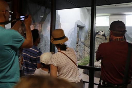 It’s panda-monium! National Zoo says Mei Xiang has&nbsp;twins