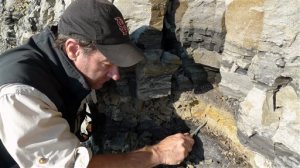In this 2013 photo released by the University of Alaska Museum of the North, researcher Greg Erickson works a fossil site in the Liscomb Bonebed near Nuiqsut, Alaska. Researchers at the University of Alaska Fairbanks have found a third distinct dinosaur species documented on Alaska's oil-rich North Slope. The new species is a type of hadrosaur, a duck-billed plant-eater. (Pat Druckenmiller/UA Museum of the North via AP)