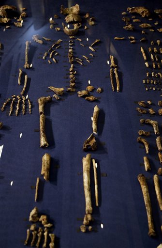 Q&A: South African fossils said to reveal new human&nbsp;relative