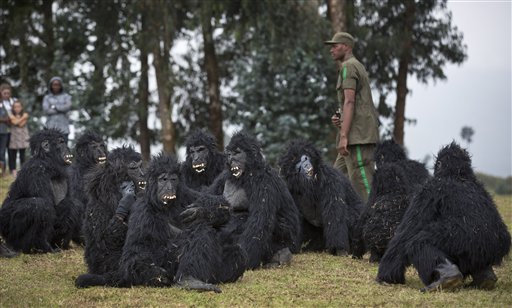 Rwanda names 24 baby mountain gorillas in annual&nbsp;tradition