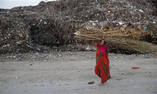 Indonesia pledges to curb emissions&nbsp;growth