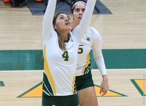 rp_primary_Alex%20Irizarry%208