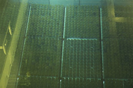 US experts warn plutonium stocks could soar in East&nbsp;Asia