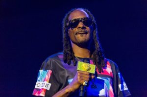 FILE - In this Sat., Sept. 26, 2015 file photo, Snoop Dogg performs during the Life is Beautiful festival in Las Vegas. Rappers Snoop Dogg and Birdman, Grammy-winning producer Jermaine Dupri, and entrepreneur Damon Dash are among the stars of a still-untitled BET reality series, the network announced Friday, Oct. 9, 2015. (Photo by Paul A. Hebert/Invision/AP, File)