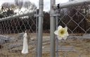 In this Nov. 13, 2015 photo, items decorate a gate surrounding the site of The Station nightclub fire that killed 100 people in West Warwick, R.I., in 2003. The Station Fire Memorial Foundation said that $1.3 million of the $2 million needed has been raised to complete a permanent memorial at the site.  (AP Photo/Michelle R. Smith)