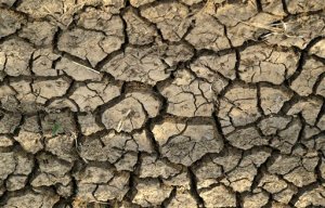 A cracked earth that three weeks ago was the bottom of a reservoir at Riaan du Plessis's farm in Groot Marico, South Africa, Thursday, Nov. 12, 2015. Six of South Africa's nine provinces, including the North West province where the Du Plessis have a farm, have been hit by drought, with three provinces declared disaster areas. (AP Photo/Themba Hadebe)