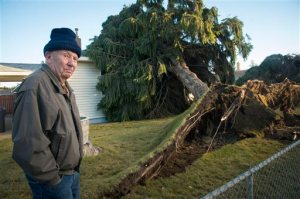 Jay Bly checks out the damage to his home in Spokane, Wash., Wednesday, Nov. 18, 2015, after a Norway spruce fell on his house the day before. Cleanup began Wednesday in Washington state after a powerful storm killed three people, cut power to more than 350,000 residents and flooded rivers.  (Colin Mulvany/The Spokesman-Review via AP) COEUR D'ALENE PRESS OUT; MANDATORY CREDIT