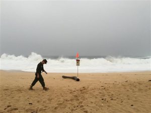 A U.S. Marine walks on the beach at Waimea Bay near Haleiwa, Hawaii, where two military helicopters crashed into the ocean about 2 miles offshore, Friday, Jan. 15, 2106. The helicopters carrying 12 crew members collided off the Hawaiian island of Oahu during a nighttime training mission, and rescuers are searching a debris field in choppy waters Friday, military officials said. (Mariana Keller via AP Photo)