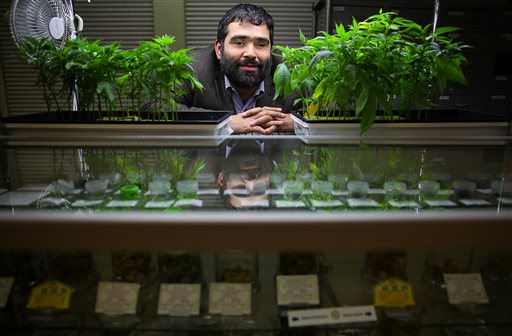 California marijuana growers face new crop of local&nbsp;bans