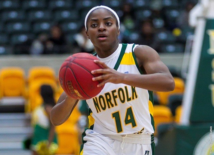 Rae leads N.C. A&T past NSU,&nbsp;64-53