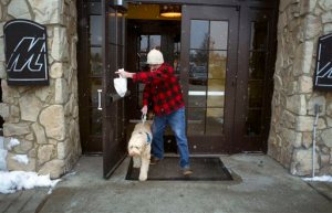 In this Monday, Feb. 8, 2016 photo, Sean McDonough leaves Macaroni Grill in South Portland, Maine, after eating lunch with his service dog Bruno at his side. McDonough suffered brain injuries in a car crash in 2008 and depends on Bruno to keep him calm in public settings. When McDonough is stressed, Bruno will lean against him. Businesses are so fed up with the fakes that those of us with legitimate service dogs are being scrutinized and discriminated against, McDonough said. (AP Photo/Tom Bell)