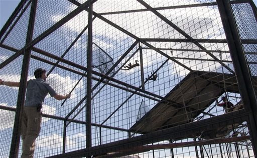 South Africa: 49 starving monkeys rescued from&nbsp;cages