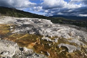 Minerva Terrace, shown here on June 14, 2013, has experienced vast growth and expansion since William Henry Jackson photographed at Mammoth Hot Springs in 1871.  (Bradly J. Boner/Jackson Hole News & Guide via AP) MANDATORY CREDIT