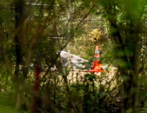A section of an aircraft is visible through the brush along Colonial Estates Road, near the Tupelo Regional Airport in Tupelo, Miss., Monday morning, May 16, 2016, following an airplane crash. The pilot and three passengers all died when the single-engine plane crashed in a field adjoining the Tupelo Buffalo Park & Zoo. (Thomas Wells/The Northeast Mississippi Daily Journal via AP) MANDATORY CREDIT
