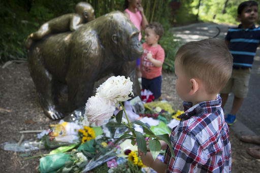 Watchdog group wants Cincinnati Zoo held&nbsp;responsible