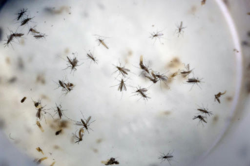 Senate likely to advance $1.1 billion in Zika&nbsp;funding