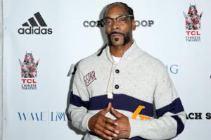 FILE - In this, May 16, 2016, file photo, Snoop Dogg arrives at the LA Premiere of "Coach Snoop" at the TCL Chinese 6 Theatres in Los Angeles. Snoop Dogg called for a boycott of the History Channel's "Roots" remake in an Instagram post on May 30, 2016. (Photo by Rich Fury/Invision/AP, File)