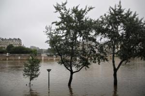 Trees on the banks of the Seine river are surrounded by water during floods, in Paris, Sunday, June 5, 2016. The riverside Grand Palais exhibition hall in Paris reopened Sunday as floodwaters slowly receded from the French capital, though risks remain for other regions. (AP Photo/Thibault Camus)