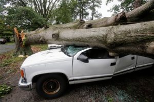 William Pearson of Brookside Blvd. lost his work truck when a tree fell and crushed it, Friday, June 17, 2016 in Henrico County, Va. A severe thunderstorm with heavy rains downed trees and knocked out power to more than 160,000 customers in Virginia. (James H. Wallace/Richmond Times-Dispatch via AP) MANDATORY CREDIT