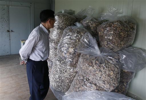 How mushrooms fueled a scientist’s flight out of North&nbsp;Korea