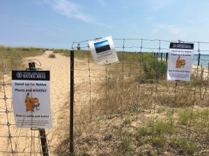 In this Aug. 10, 2016 photo, signs are posted asking Pokemon Go players to stay on the path instead of walking through the grass to protect wildlife at the Loyola Dunes area on Chicago's lakeshore. The protected dunes have become a popular hot-spot for Pokemon Go players. The heavy foot-traffic has raised concerns about environmental damage and inspired an Illinois state lawmaker to propose legislation to require removal of certain places from the game. The bill is one of the first of its kind in the US. (Jacob Wittich/Sun Times via AP)