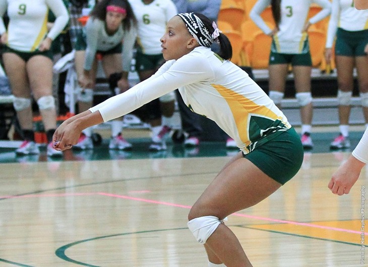 Efficient Appalachian State, Radford Top NSU by 3-0&nbsp;Scores