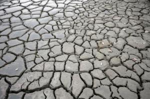 Low water on Utah's Great Salt Lake have left behind cracked mud where boats were once docked at a marina Thursday, Sept. 22, 2016, on Antelope Island, Utah. The massive lake, key to the Utah's economy and identity, is skirting record low levels after years of below-average participation and record heat. (AP Photo/Rick Bowmer)