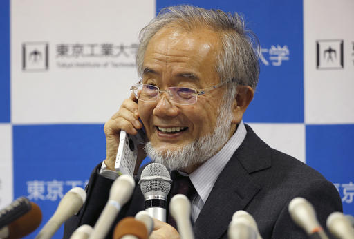 Japanese scientist wins Nobel for study of cell&nbsp;recycling