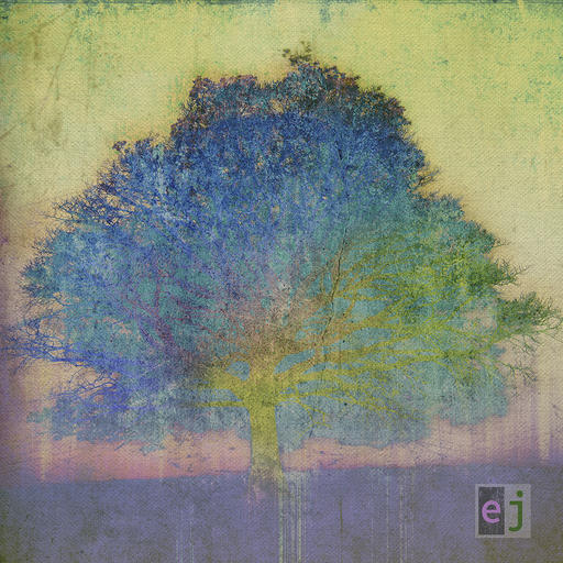 Guitar hero Eric Johnson displays acoustic talents on “EJ”