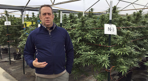 Investors anxious as Oregonians again vote on&nbsp;marijuana