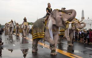 Mahouts lead a procession of 11 white elephants past the Grand Palace in honor of Thailand's King Bhumibol Adulyadej in Bangkok, Thailand, Tuesday, Nov. 8, 2016. King Bhumibol died on Oct. 13 after reigning for 70 years, plunging the country into grief and extended mourning. The official mourning period is one year. (AP Photo/Mark Baker)