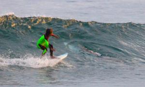In this photo from Jan. 24, 2017, provided by Chris Hasson, 10-year-old Eden Hasson, Chris' son, surfs near what is believed to be a great white shark at Samurai Beach, Port Stephens, Australia. James Cook University shark researcher Andrew Chin says the photographed shark is possibly a small great white. (Chris Hasson via AP)
