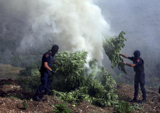 Albanian police find ton of marijuana hidden under&nbsp;house