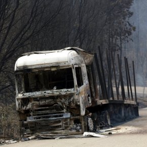 Forest fire kills 62 in Portugal; search on for more bodies