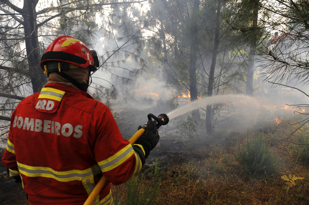 Forest fire kills 61 in Portugal; search on for more&nbsp;bodies