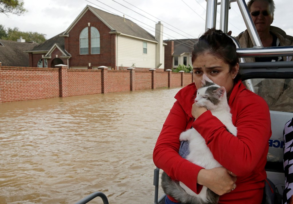 Harvey swamps evacuee shelter on Texas, Louisiana&nbsp;border