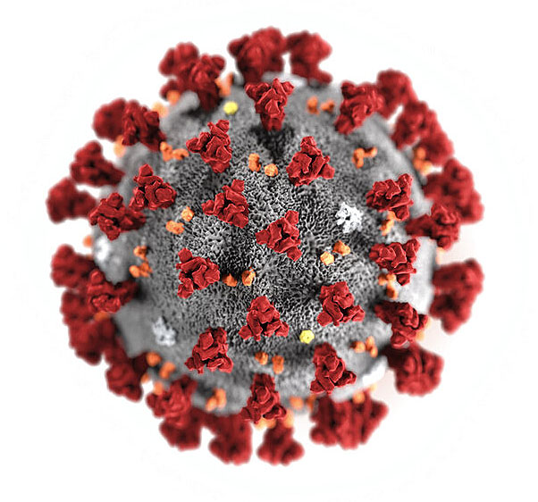 What the Norfolk State community needs to know about&nbsp;coronavirus